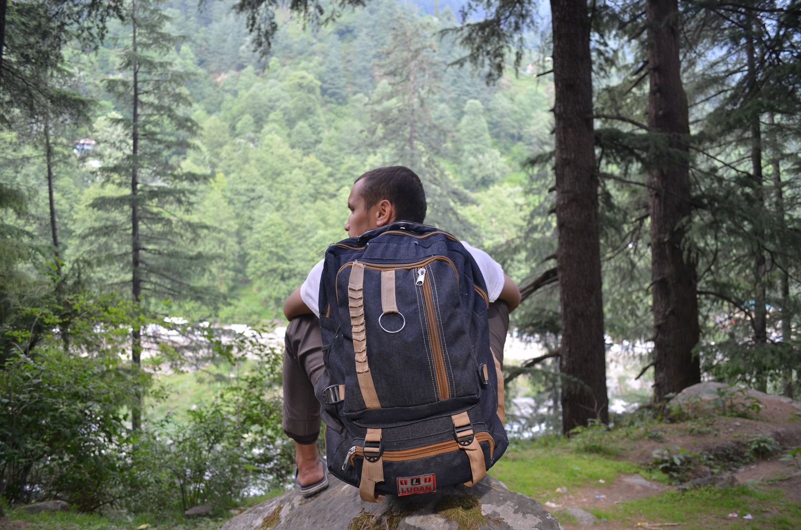 Leave No Trace for Beginners: The 7 Principles Explained